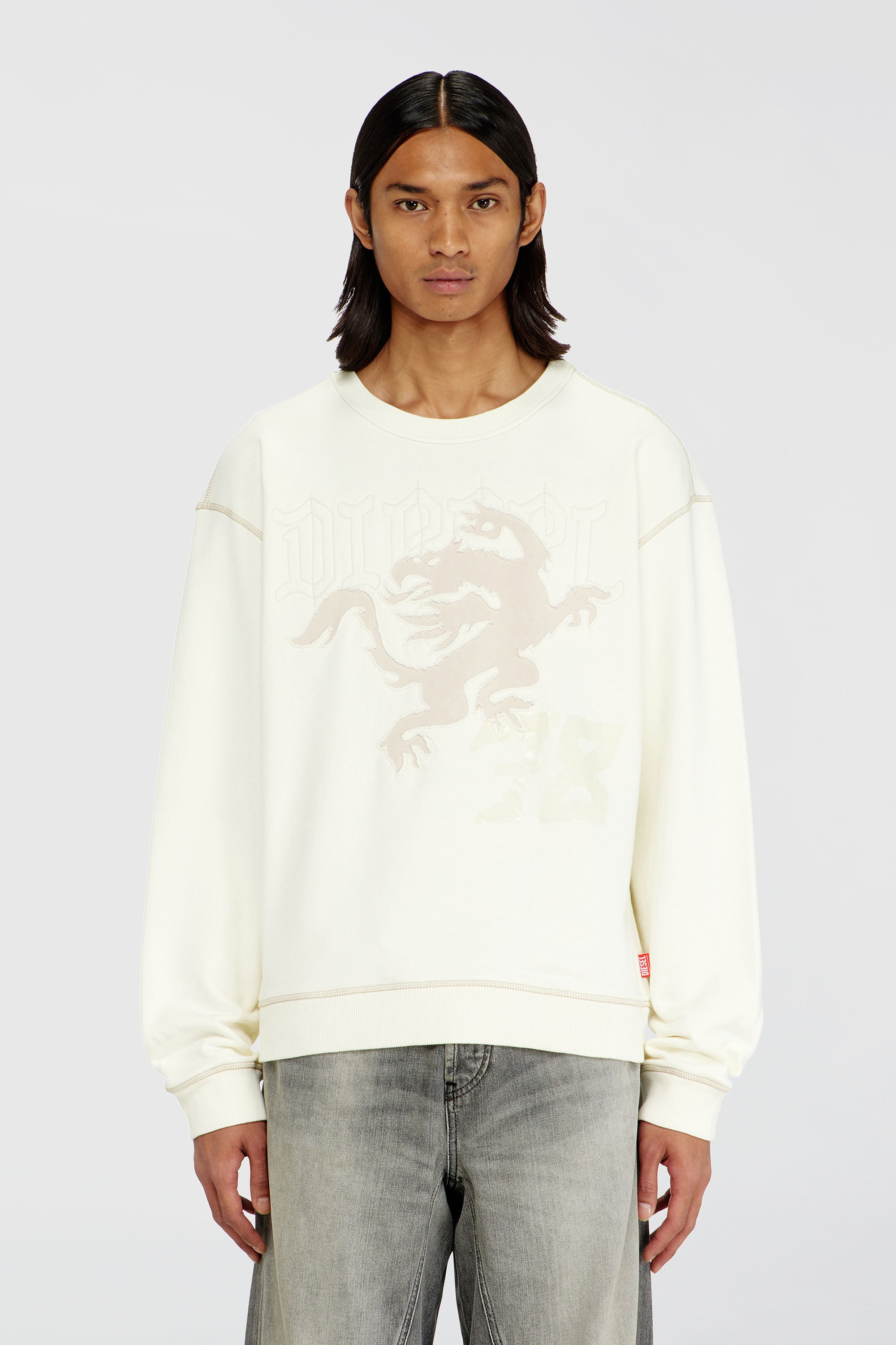 Diesel - S-NORM-AA3, Man's Sweatshirt with embroidery and print in White - 3