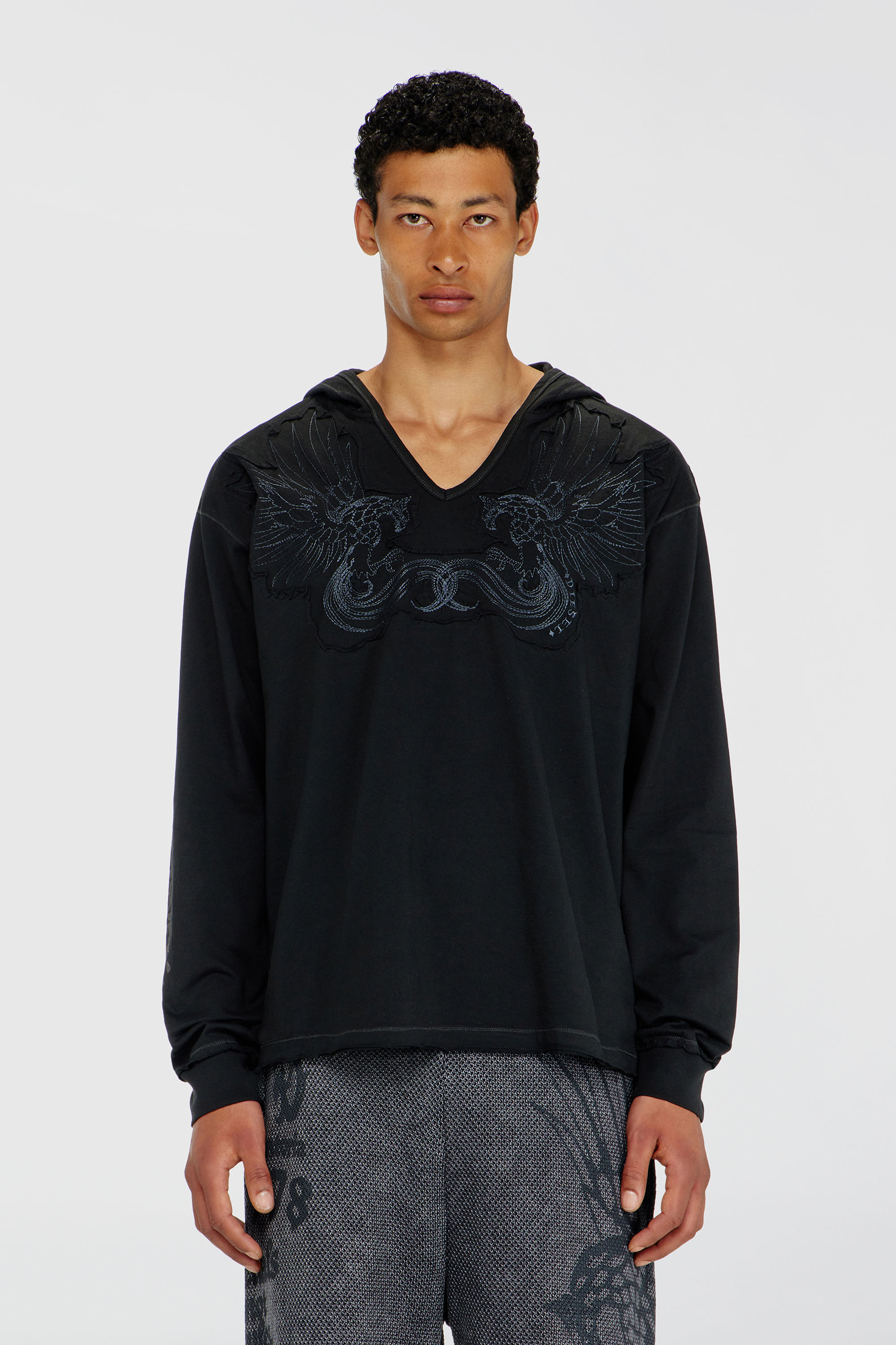 Diesel - T-PHEN-LS-HOOD-RIB, Man's Hoodie with V-neck and embroidered front in Black - 3