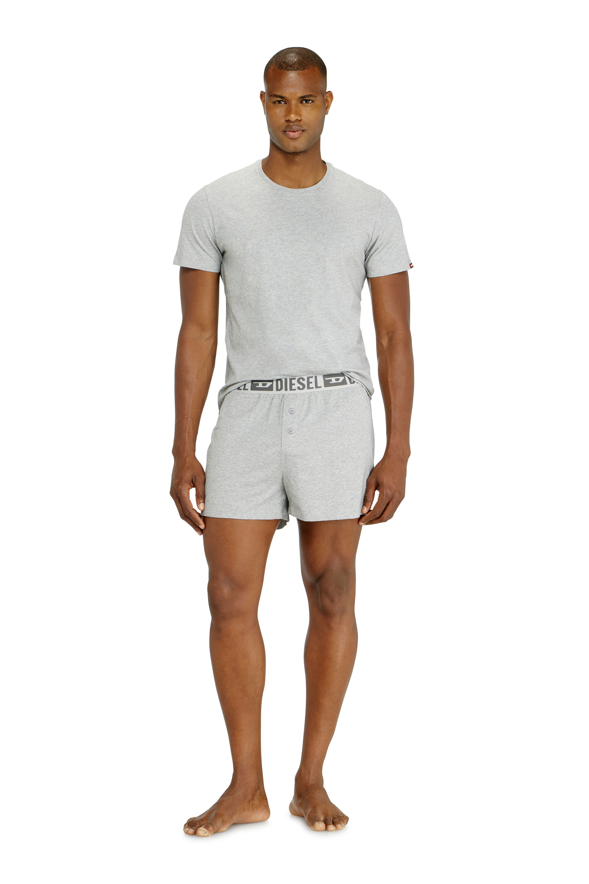 Diesel - STARKIE-D-CORE-2PACK, Man's Two-pack boxer shorts in stretch cotton in Grey - 1