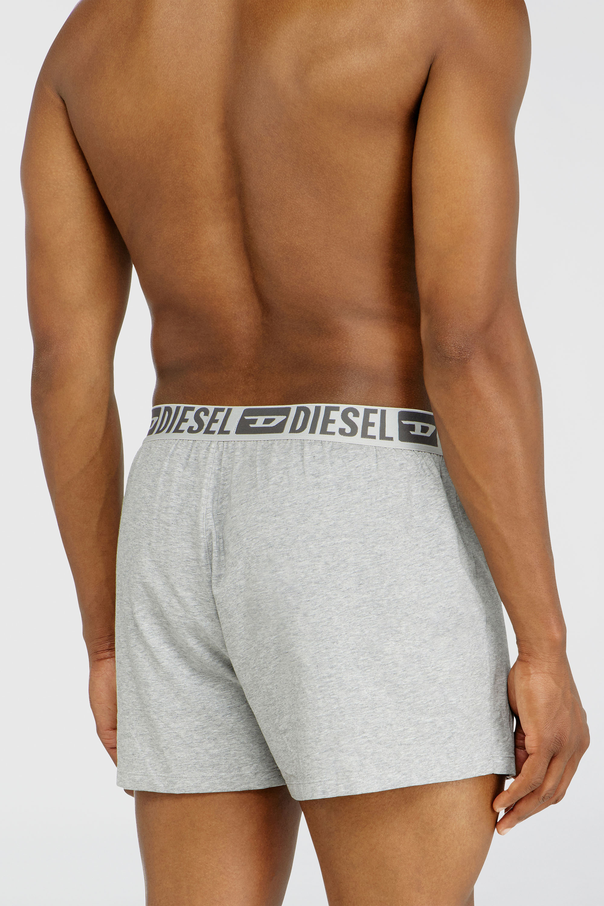 Diesel - STARKIE-D-CORE-2PACK, Man's Two-pack boxer shorts in stretch cotton in Grey - 4