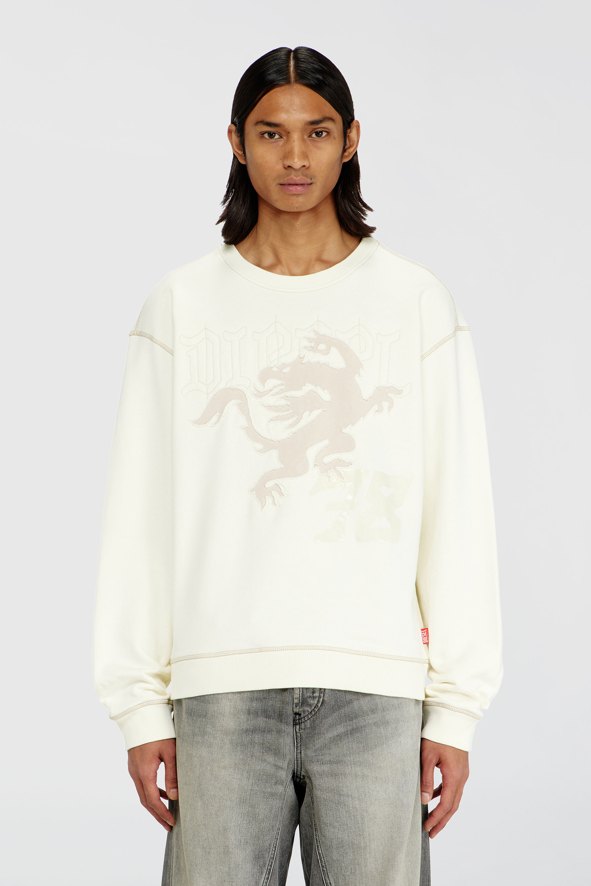 Diesel - S-NORM-AA3, Man's Sweatshirt with embroidery and print in White - 1